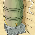 Build a rain barrel